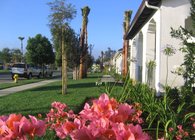 Real Estate Management