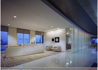 Western Asset Management