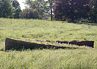 Erdestein
