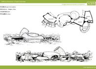 Ningbo Botanical Garden Park Design Competition