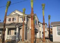 Construction Management