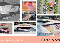 Sarah Morris 