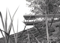Boh visitor centre