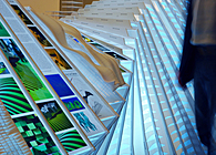 Flux Installation and Exhibition