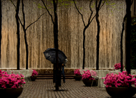 Photography: Architectural and Landscape 