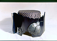 Bugstool