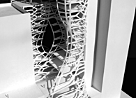 Robust Morphologies