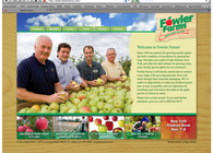 Advertising, Promotional, Interactive, and Packaging