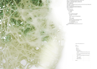 Encoded Matter