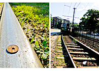 Penny Project (Summer 2011)