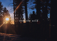 into the wild