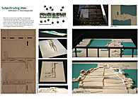 Subjectivating Mies