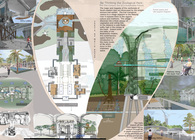 Re-thinking the Zoological Park: The 21st Century Zoo as a sustainable fixture.