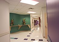 Cassano's Health Center and Osteopathic Teaching Facility