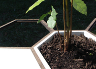 Honeycomb Gardening System
