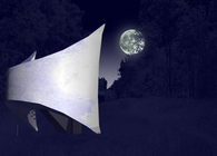 the Moonroom