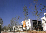 Main Green Zone – Olympic Village 