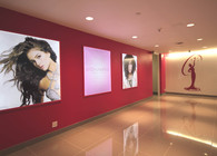 Miss Universe Organization