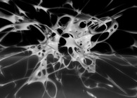 Swarm Intelligence