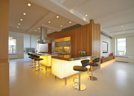 Luminous Penthouse