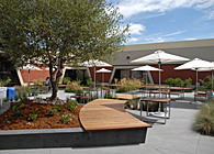 Apple Mariani 3 Campus Courtyard