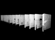 Thesis project_Master of Architecture II