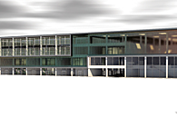 Thesis Project