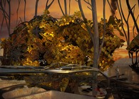 IMPASTO HOUSE