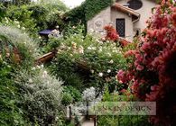 Lagunita Heaven