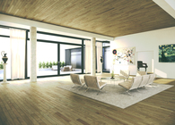 Dang Gui Villa #5