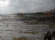 Falls of the Ohio Geology Center+