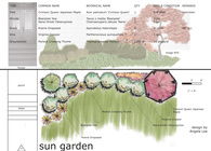 Planting Design Studio Exercises