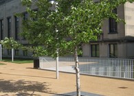 Noguchi Bench