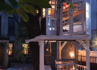 A Treehouse in Brooklyn