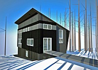 $100,000 House