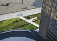 Nathan Phillips Square Podium Roof Garden