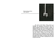 Phenomenology of Home