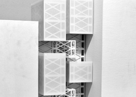 Undergraduate Thesis