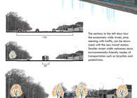 A City of Trees - Detroit Lightrail Project