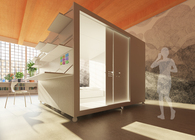 Artist Studio Sleeping Box