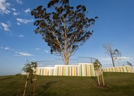 Jacaranda Park