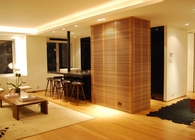 New York apt