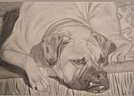 Fine Arts Portfolio