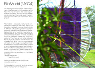 BioModd