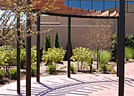Siteman Cancer Center Healing Garden