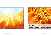 MACHINIC PROCESSES