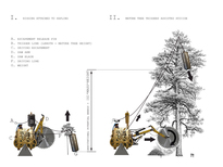 Dendrocide Physics