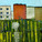 I am thankful for my skeleton. He is still in the garden - Oil on linen 26