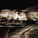 View from the park by night (Image: Djuric Tardio - Scriptogram.com)