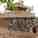 Sang Round House (Open House/Community Day to celebrate project completion)
